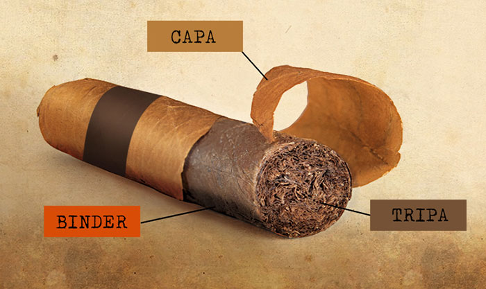 Tapa, Capa, Binder are three cigar components 