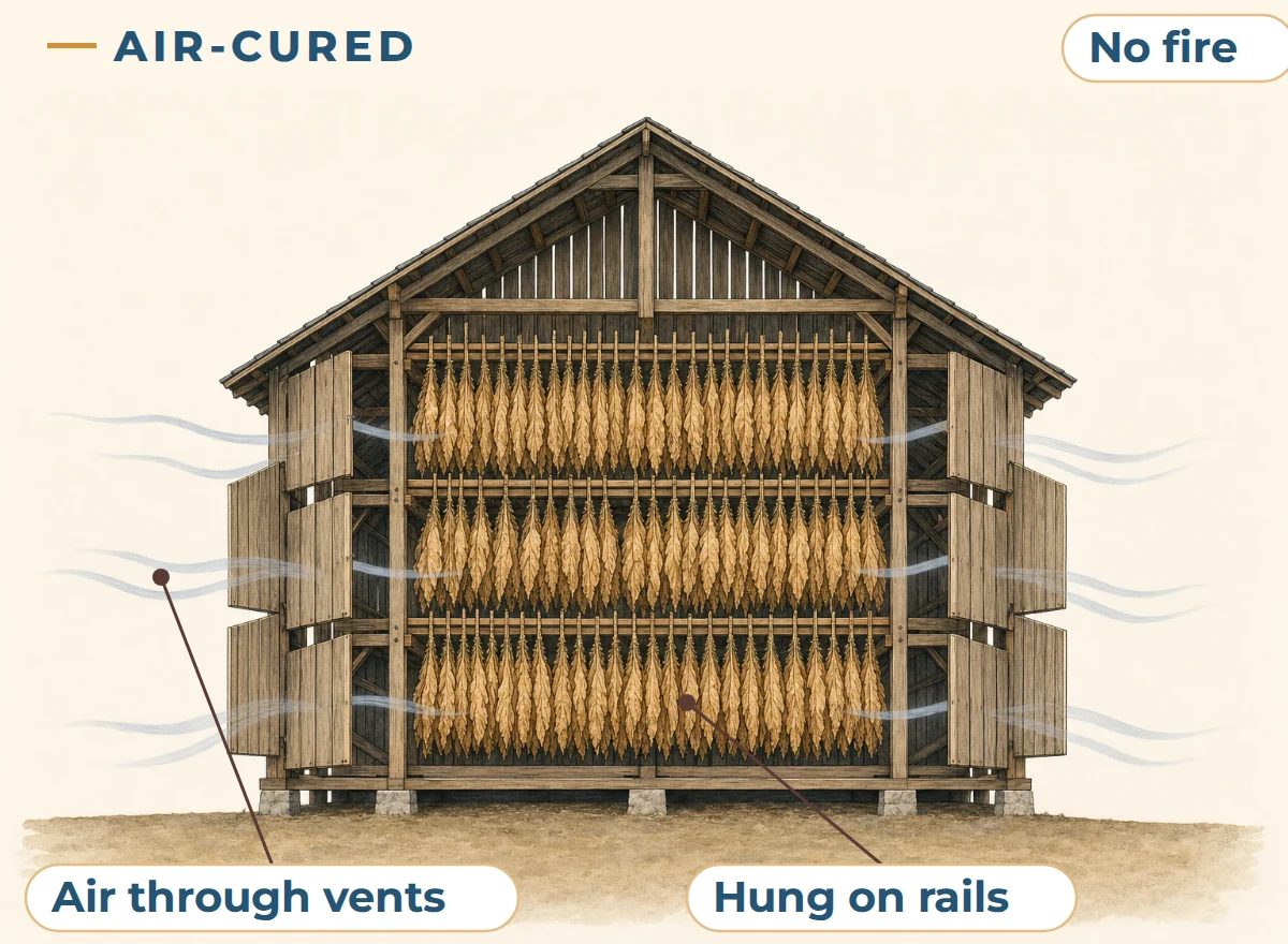Illustration of air curing: tan tobacco leaves hang on rails in a barn with open side vents, and outside air moves through with no fire.